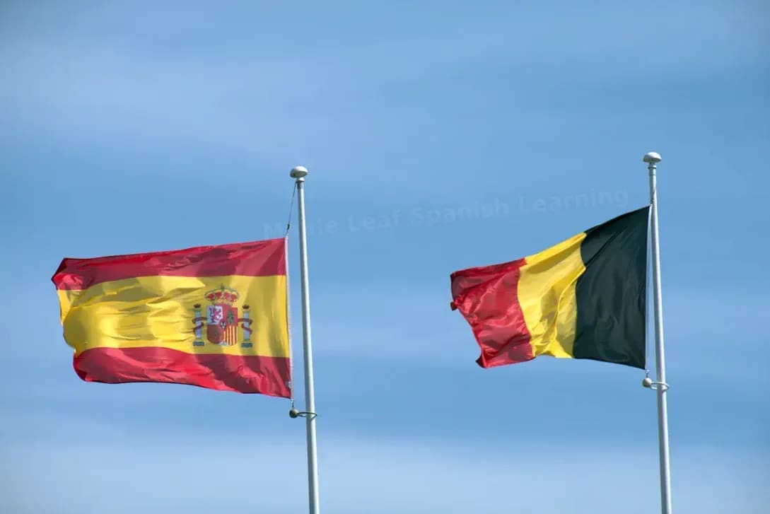 Maple Leaf Spanish Learning 14