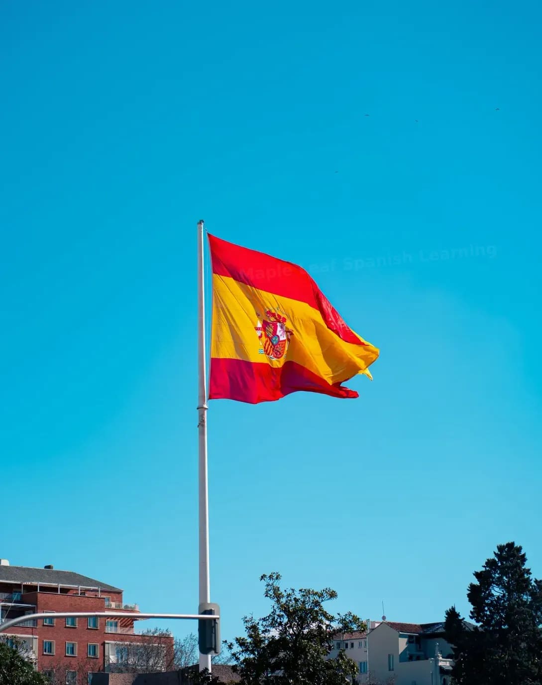 Maple Leaf Spanish Learning 4